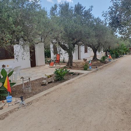 منزل الضيف مارينيلا دي سيلينونتي  في Agrisicilia الغرفة الصورة