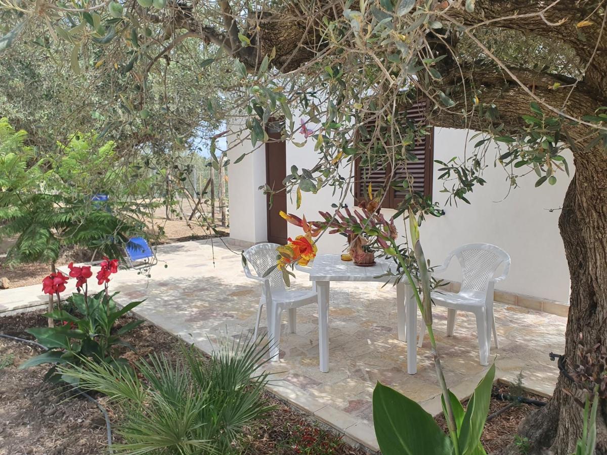 منزل الضيف مارينيلا دي سيلينونتي  في Agrisicilia المظهر الخارجي الصورة