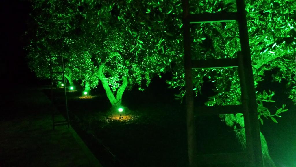 منزل الضيف مارينيلا دي سيلينونتي  في Agrisicilia المظهر الخارجي الصورة